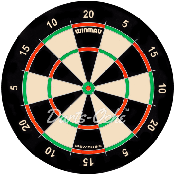 The Club or Tournament Dartboard