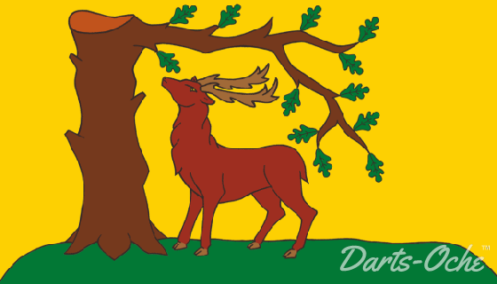 County Flag