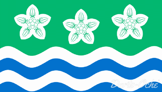 County Flag