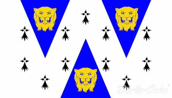 County Flag