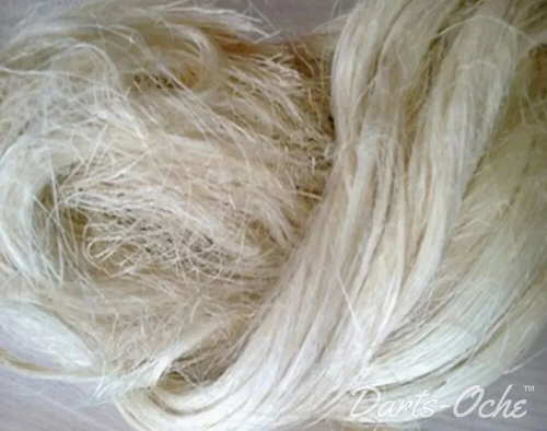 Sisal Plant Fibre used in Dartboards